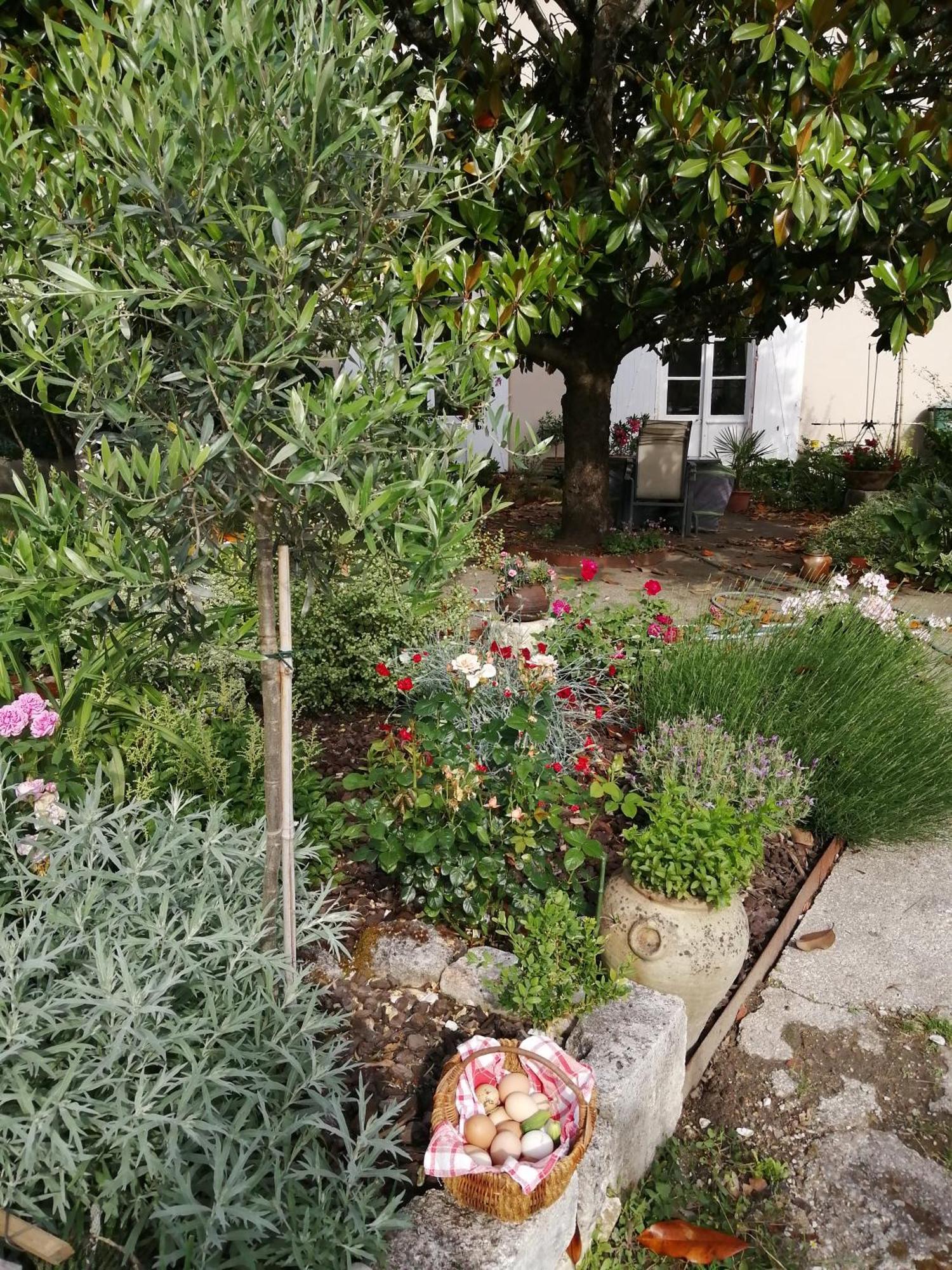 Au Logis De Vechillot Angoulême Exterior foto