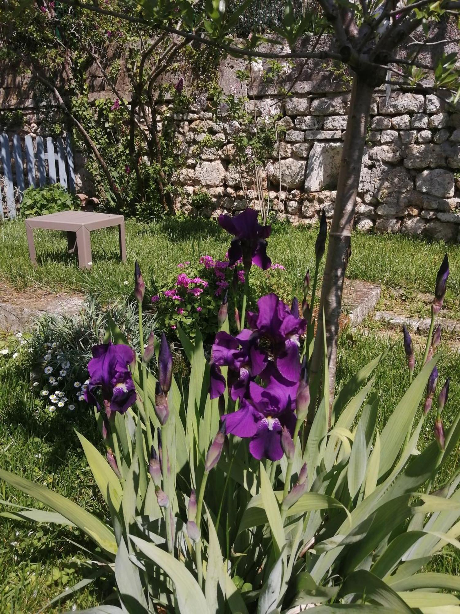 Au Logis De Vechillot Angoulême Exterior foto
